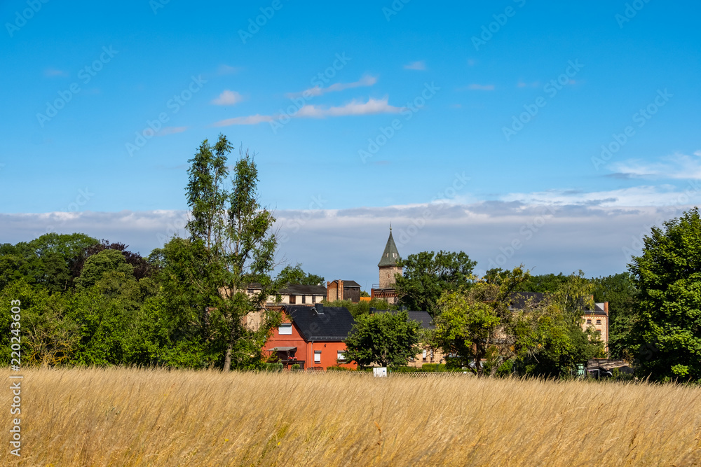 Fototapeta premium Wassermühle in Meisdorf Stadt Falkenstein im Harz