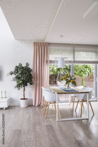 White chairs at table next to plant in spacious dining room interior with pink drapes. Real photo