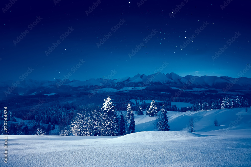 Fototapeta premium Gwiaździsta zimowa noc