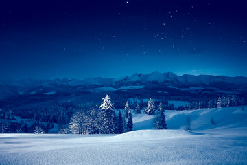 Starry winter night