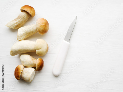 Autumn fresh boletus mushrooms. Forest cepes on a white surface of a table, close up. 