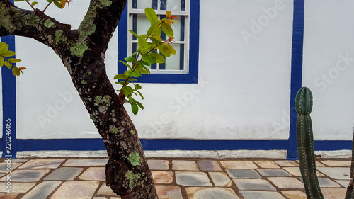 Colonial blue Windows photo