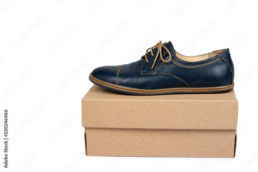 Female classic leather formal shoes with box isolated on white background, copy space template Female classic leather formal shoes with box isolated on white background, copy space template