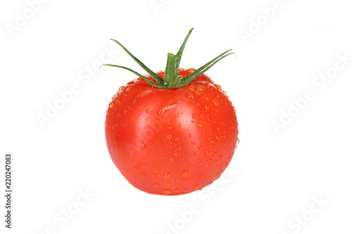 Wallpaper Mural Tomate isoliert auf weiß Torontodigital.ca