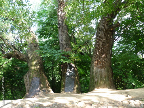 Kolomenskoe,  Moscow