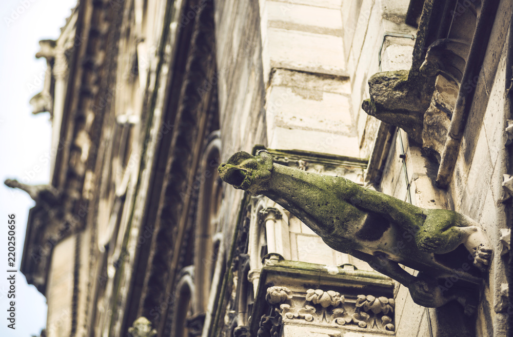 Gargoyles in Notre Dame Cathedral. Paris, France Gargoyles in Notre Dame Cathedral. Paris, France