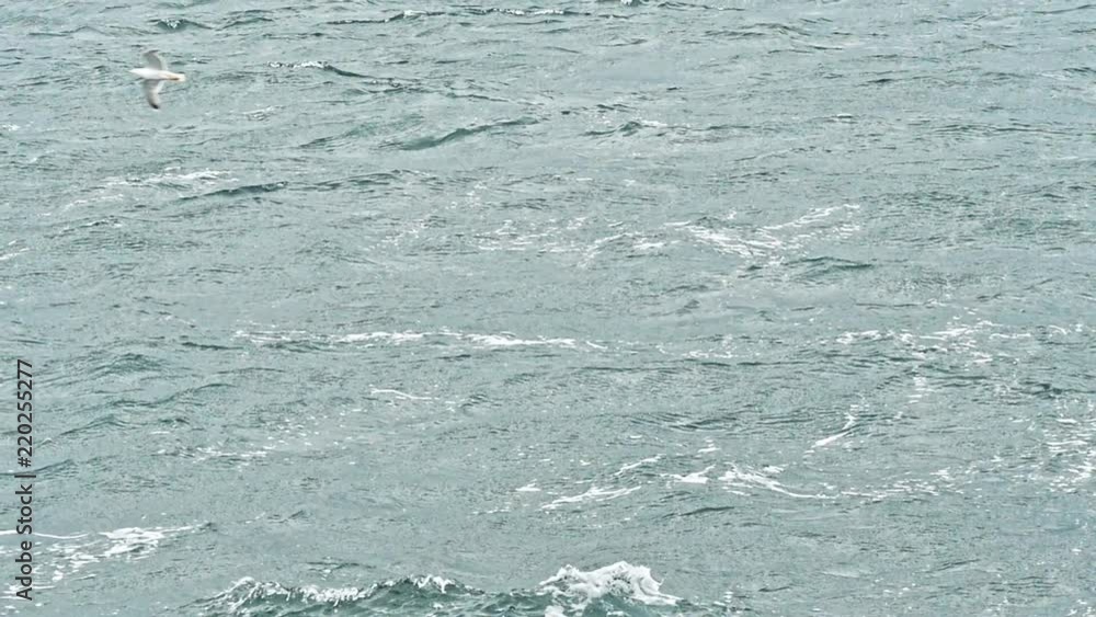 Stormy sea with restless waves Stormy sea with restless waves