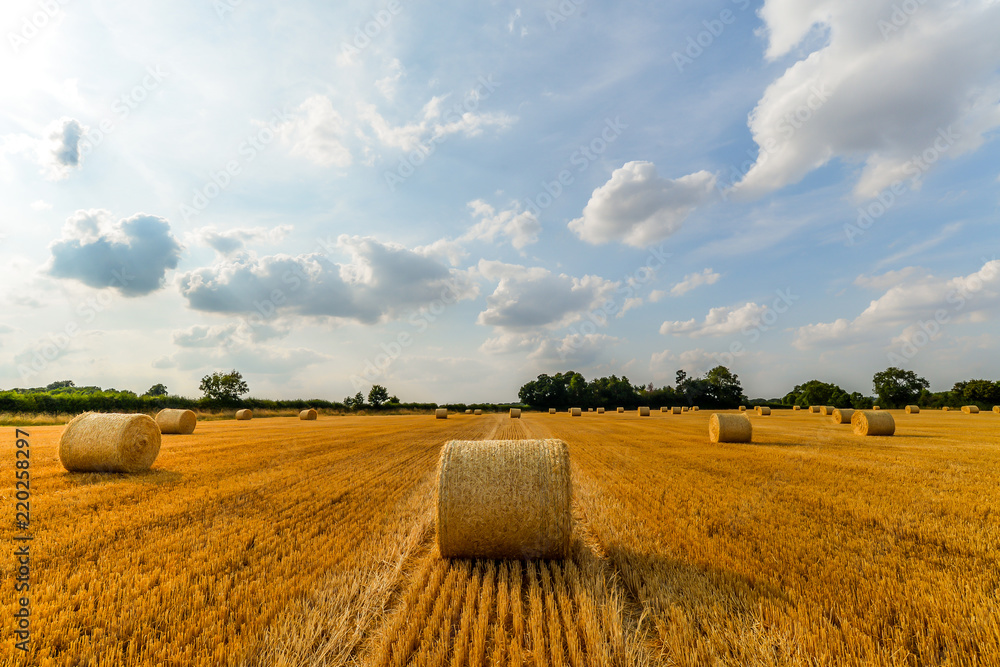 Summer Time - Woodend - UK