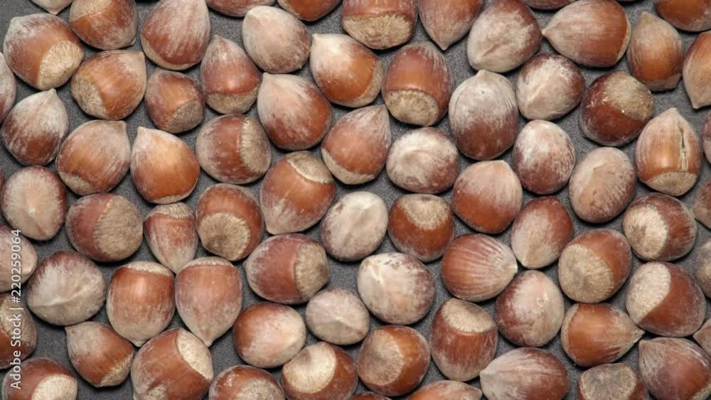 Many Hazelnuts Rotating