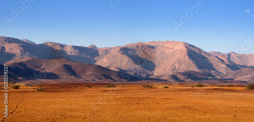Fototapeta Naklejka Na Ścianę i Meble -  Mountains in northern Namibia, in the forefront of welvitschie