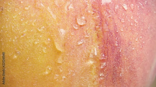 Slow drops of water flow down the fluffy skin of a yellow-orange peach close-up