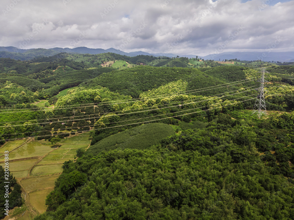 rubber trees industry on the Mountain in Thailand,