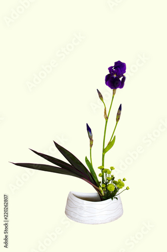Ikebana mit Iris