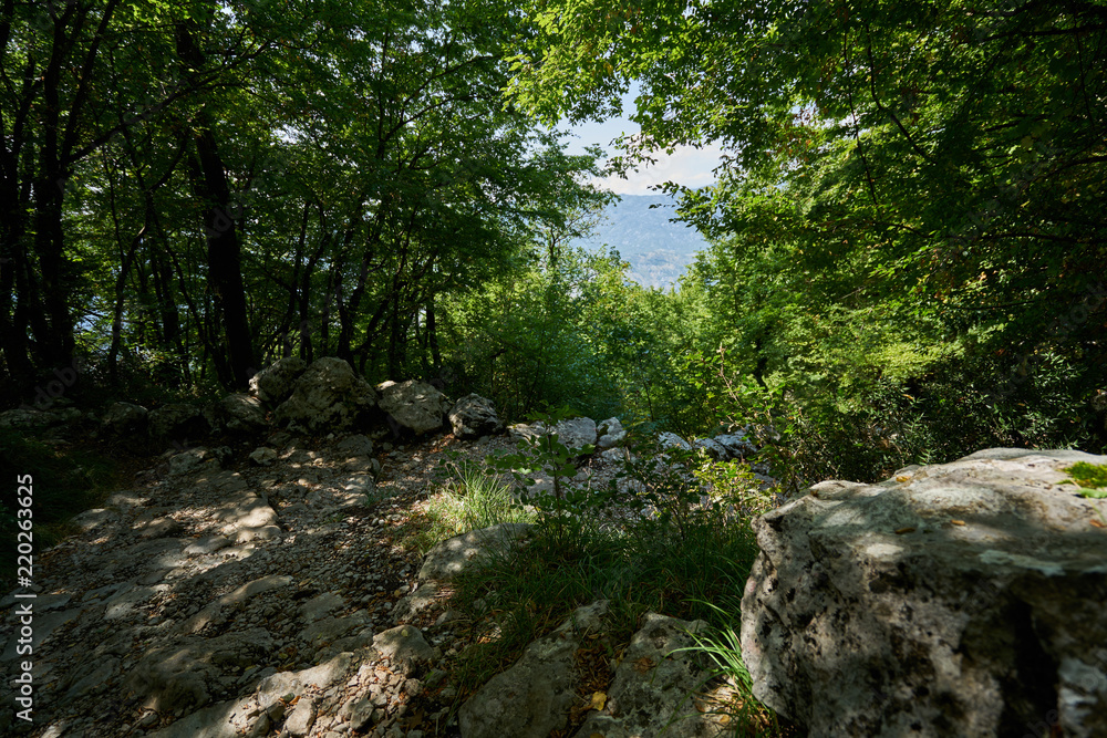 Wanderpfad mit Ausblick Wanderpfad mit Ausblick