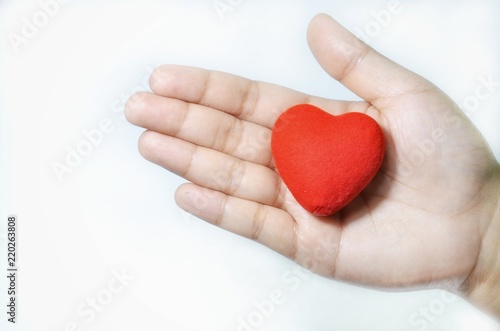 Red heart on hand, white background