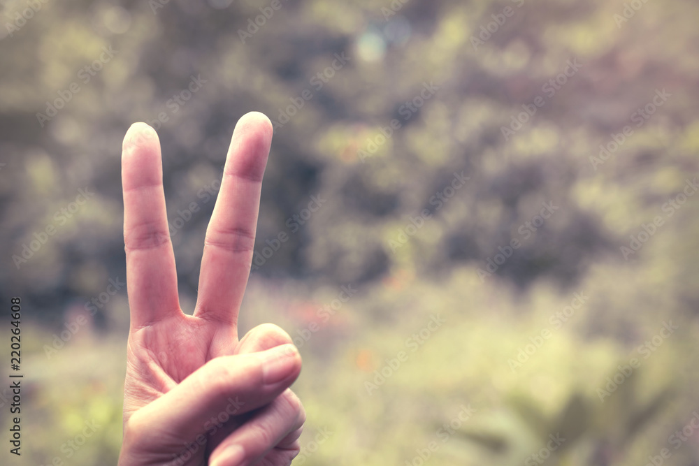 Hand making two finger it mean victory in nature background. Hand making two finger it mean victory in nature background.