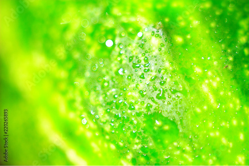 cucumber Green water glare health fresh light wallpapers