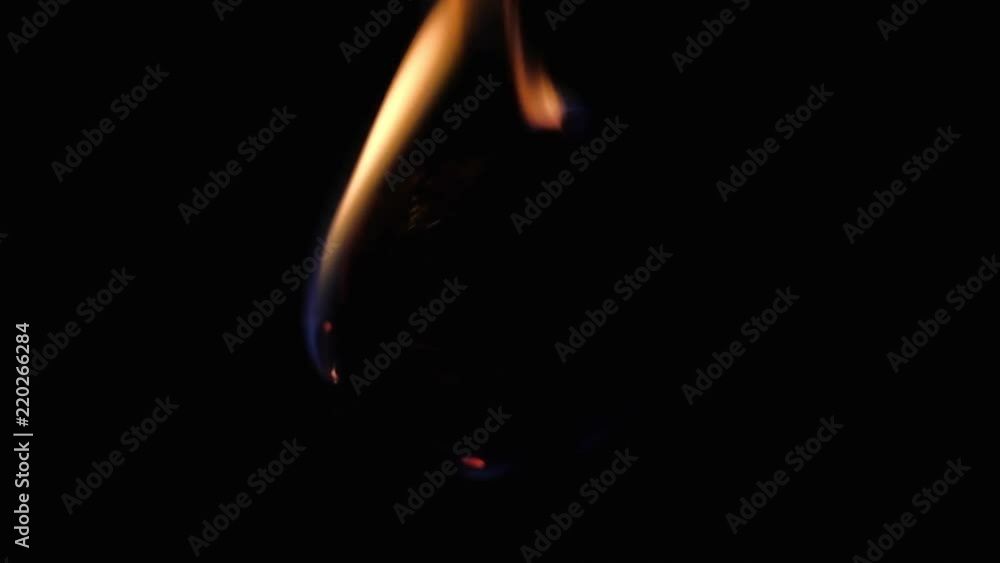 close up - red dried flower burns on a black background. accelerated footage. close up - red dried flower burns on a black background. accelerated footage.