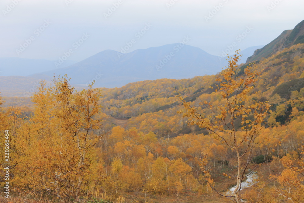 autumn autumn
