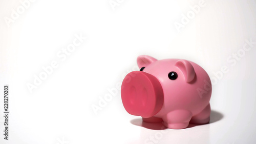 Cute piggy bank, saving assets on personal account, investment, deposit interest