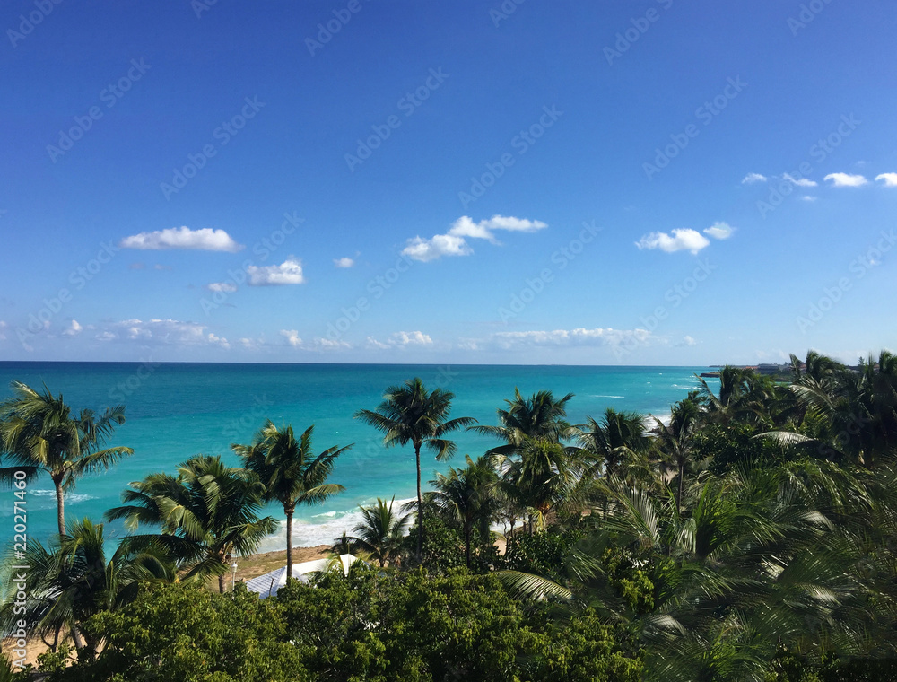 Beautiful ocean view from the balcony. Palm trees, ocean, Atlantic coast of Cuba