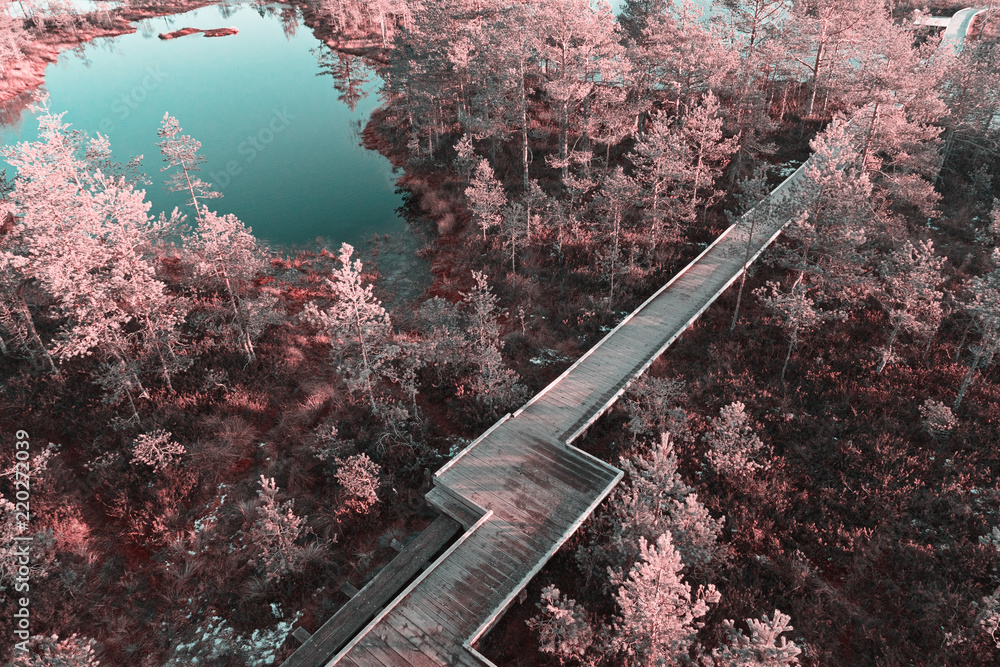 Ταπετσαρία Aerial scenic view from drone with infrared effect in photo of wooden boardwalk decking between lake and swamp in nature reserve park