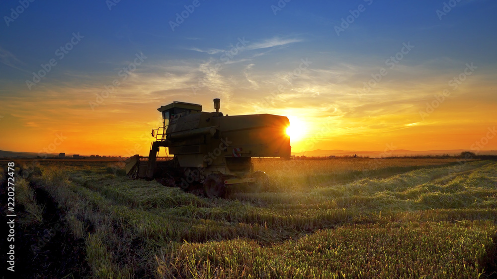 Naklejka premium Combine, field and sunrise. Reach success in agribusiness