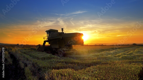 Combine  field and sunrise. Reach success in agribusiness