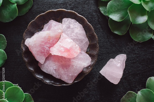 Rose Quartz Crystals and Succulents