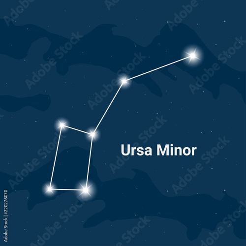 The constellation Ursa Minor (The Little Bear) - Vector