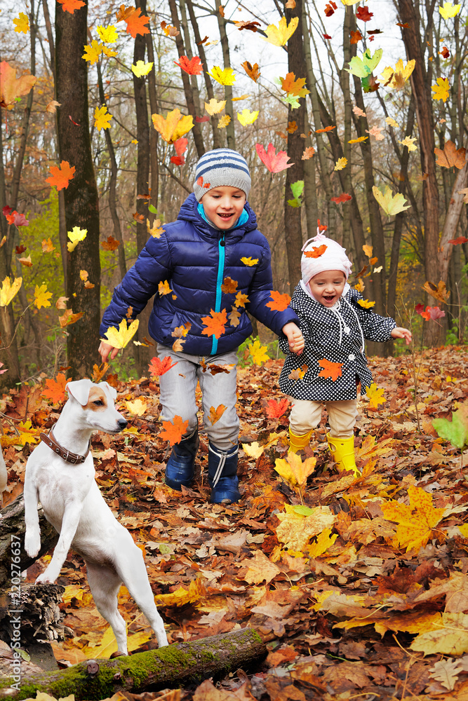 Fototapeta premium Funny children on a walk with a dog in the autumn forest
