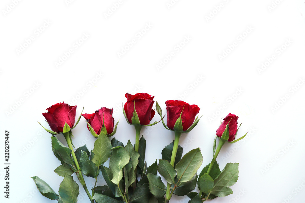 Five roses on a white background, with blank space for your text