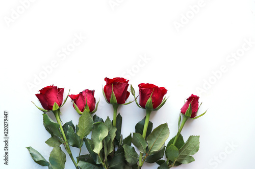 Wallpaper Mural Five roses on a white background, with blank space for your text Torontodigital.ca