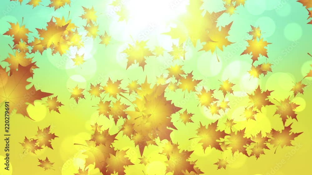 Warm Autumn Leaves Falling Warm Autumn Leaves Falling