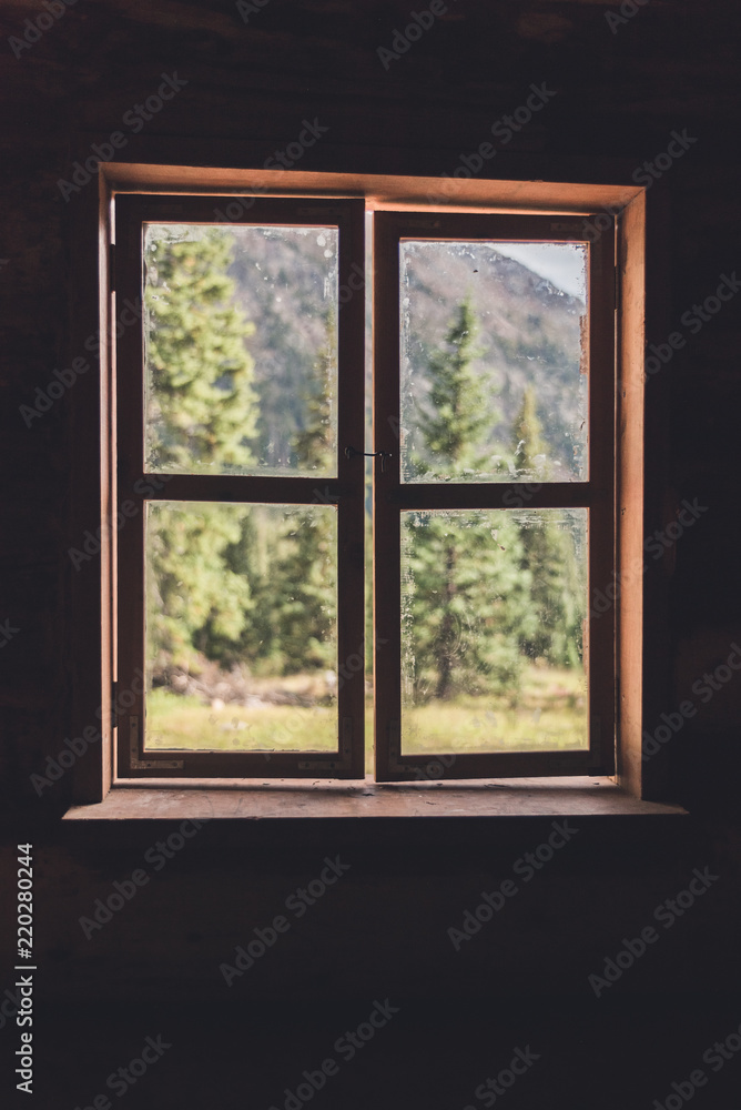View of a forest through a cabin window during the summer in Colorado. 