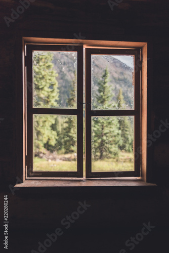 View of a forest through a cabin window during the summer in Colorado. 