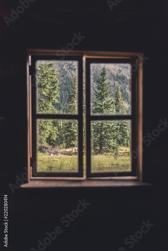 View of a forest through a cabin window during the summer in Colorado. 