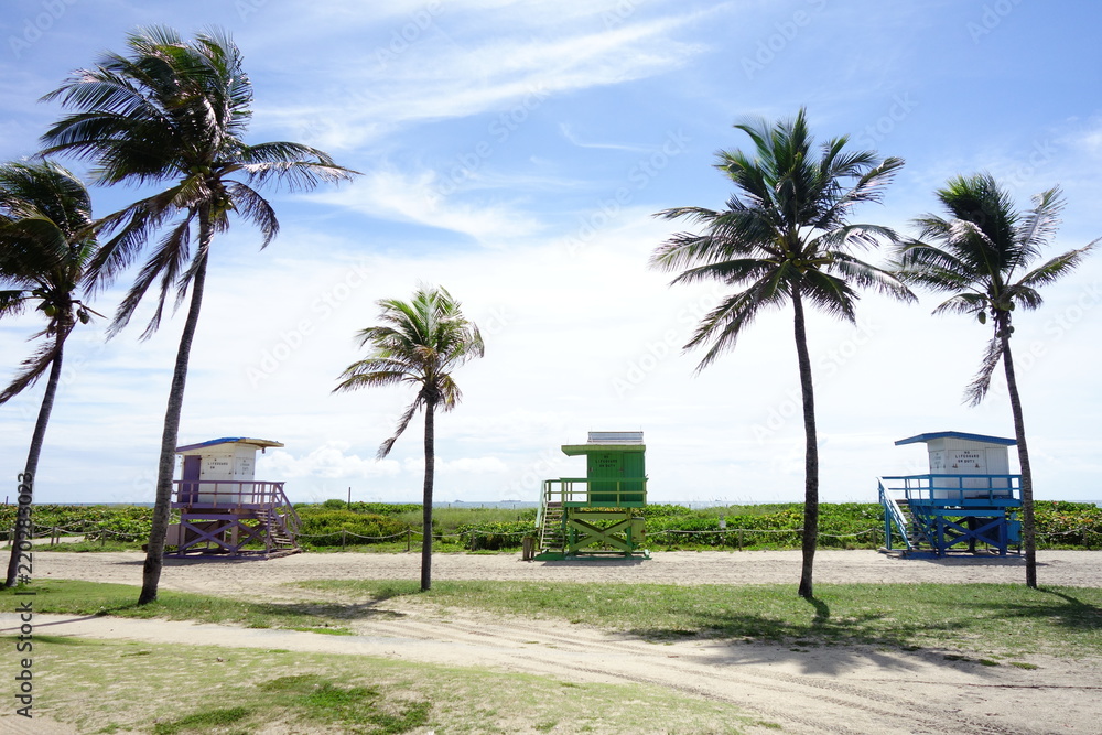 Fototapeta premium Rettungsschwimmer-Turm am Strand von Miami mit Palme und blauem Himmel
