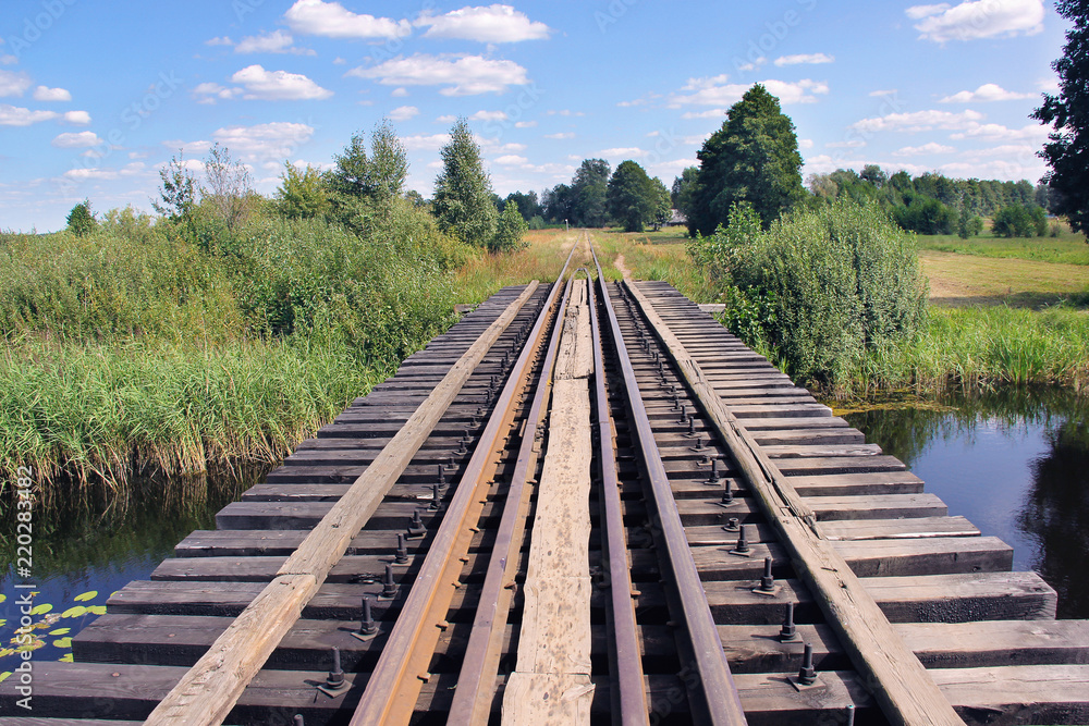 Fototapeta premium bridge over a pond for a train
