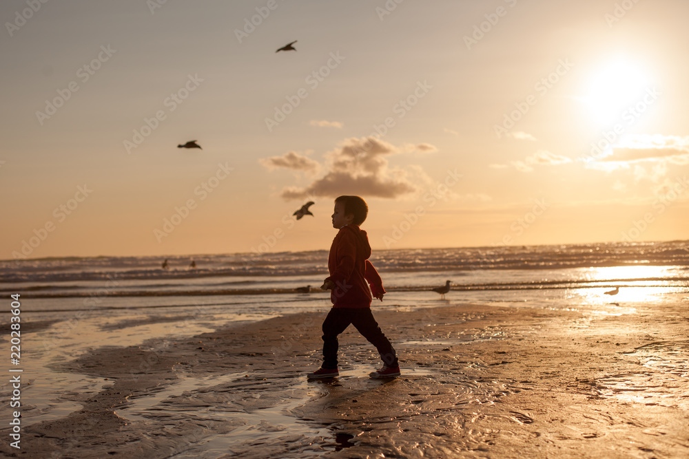 Cute child, kid, watching seagulls on the beach Cute child, kid, watching seagulls on the beach