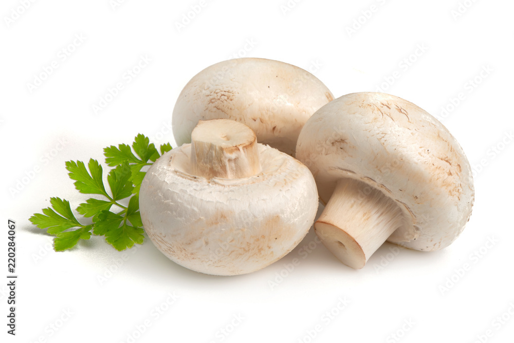Champignons, close-up, isolated on white background. Champignons, close-up, isolated on white background.
