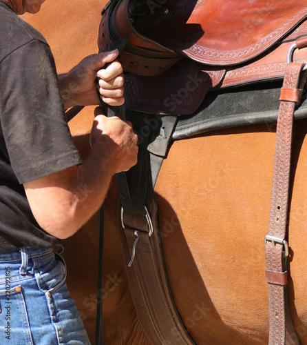 A cowboy is tacking up his horse by pulling on the cinch strap to tighten the saddle.