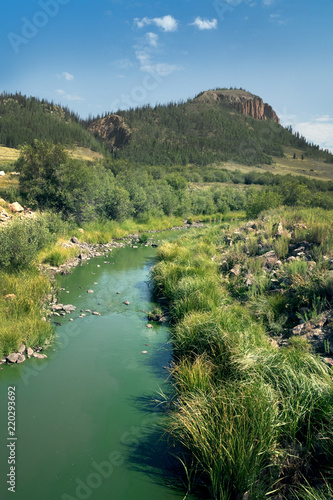 Sous clean creek,  Rio Grande National Forest,  Colorado, US photo