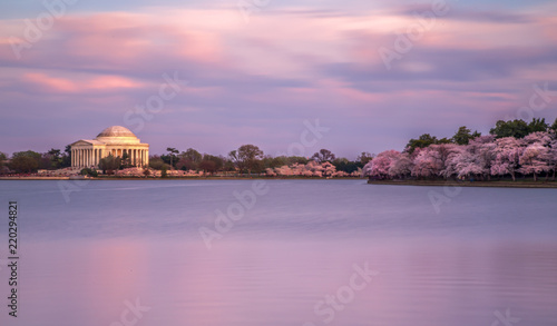 Washington DC Monuments Cherry Blossoms