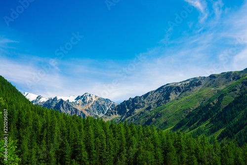 Snowy mountain top behind wooded hill under blue clear sky. Rocky ridge above coniferous forest. Atmospheric minimalistic landscape of majestic nature. © Daniil