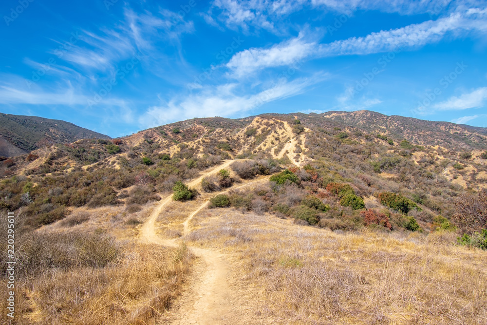 Mountain bike trails in Southern California on hot summer day with sky for copy space