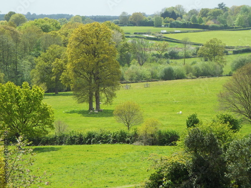 English Countryside photo