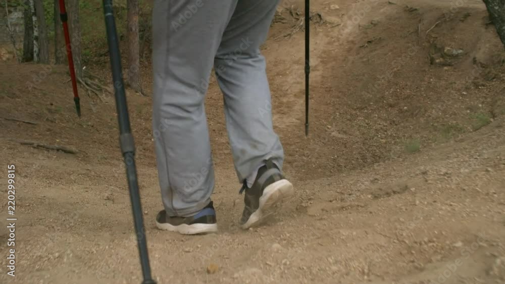Dolly shot with low-section of legs of unrecognizable elderly couple with trekking poles hiking down steep hill on forest trail Dolly shot with low-section of legs of unrecognizable elderly couple with trekking poles hiking down steep hill on forest trail