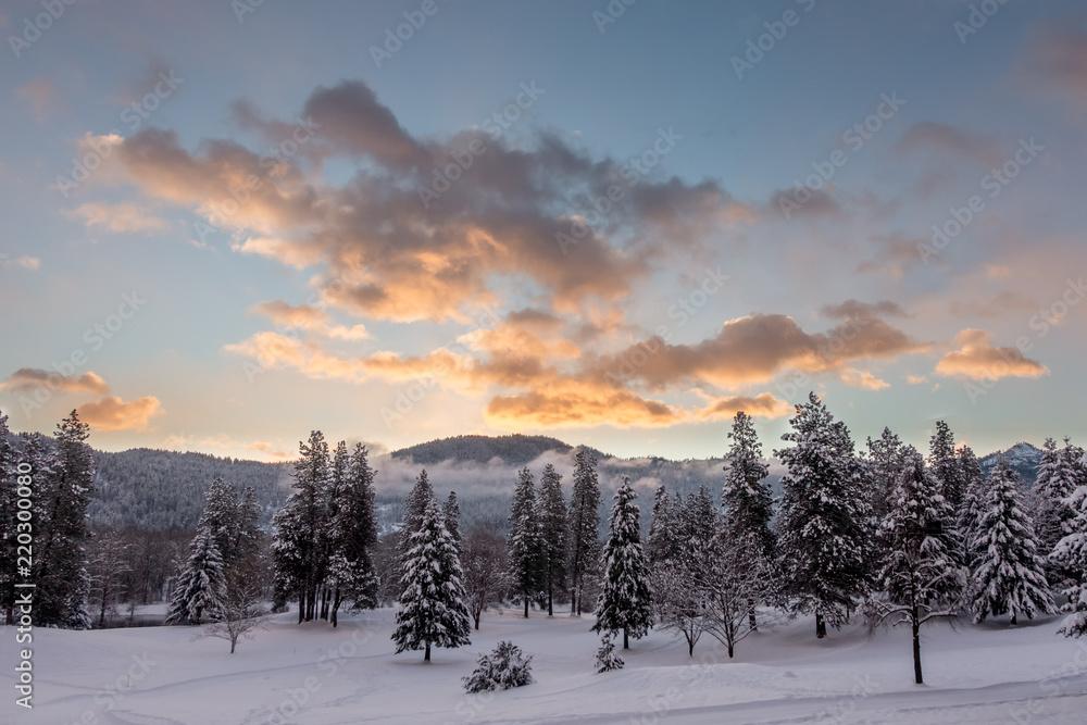 Fototapeta premium Winter Sunrise