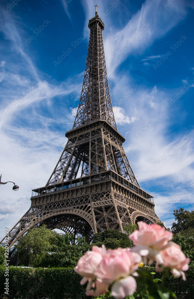 Eiffel Tower as seen from Trocadero Gardens